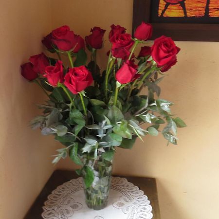 El Pedregal Sopo Bed and Breakfast Εξωτερικό φωτογραφία
