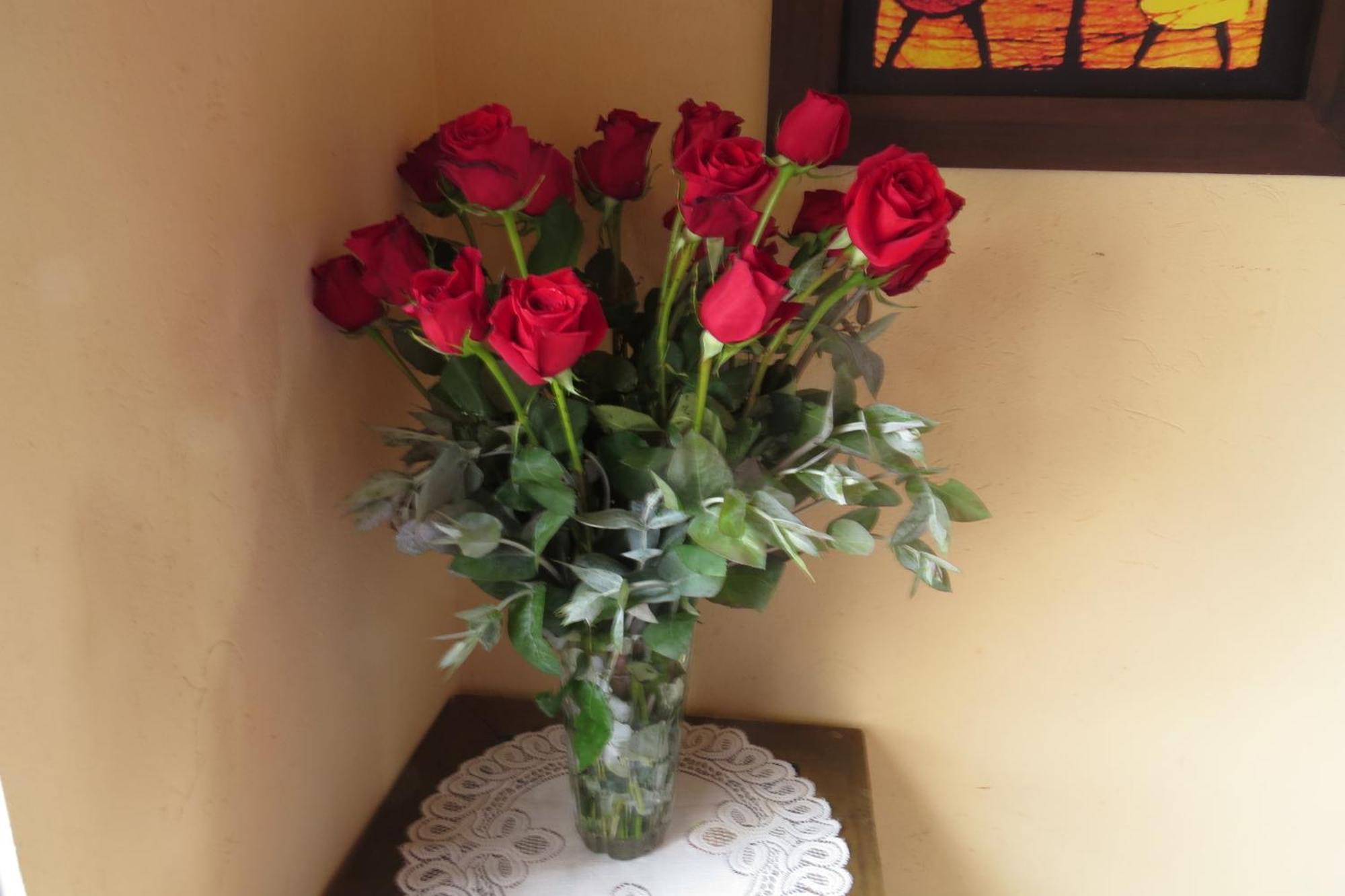 El Pedregal Sopo Bed and Breakfast Εξωτερικό φωτογραφία