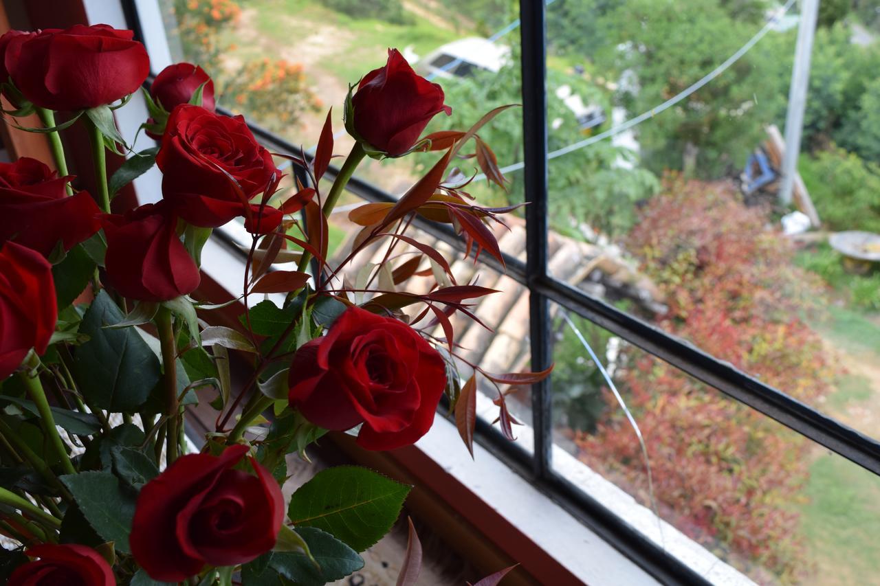 El Pedregal Sopo Bed and Breakfast Εξωτερικό φωτογραφία