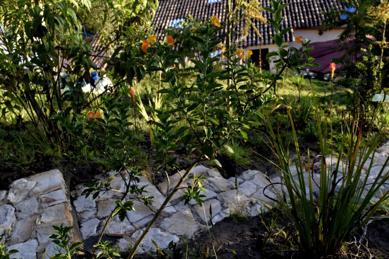 El Pedregal Sopo Bed and Breakfast Εξωτερικό φωτογραφία