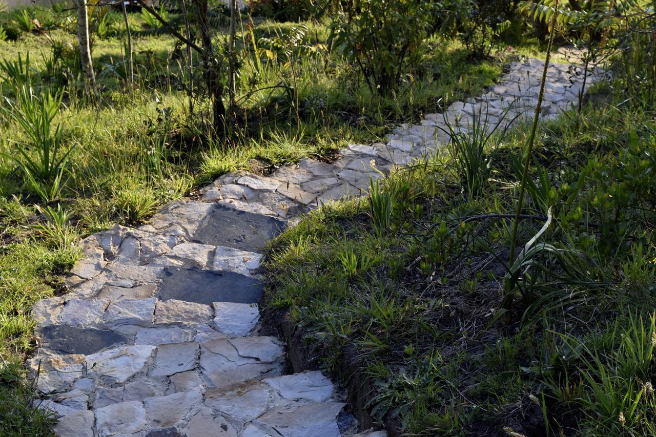 El Pedregal Sopo Bed and Breakfast Εξωτερικό φωτογραφία