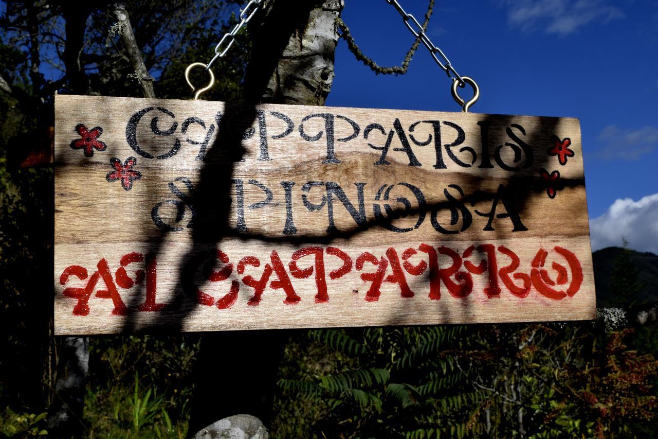 El Pedregal Sopo Bed and Breakfast Εξωτερικό φωτογραφία