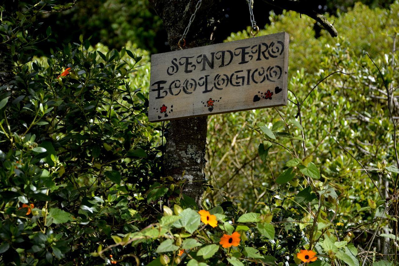 El Pedregal Sopo Bed and Breakfast Εξωτερικό φωτογραφία