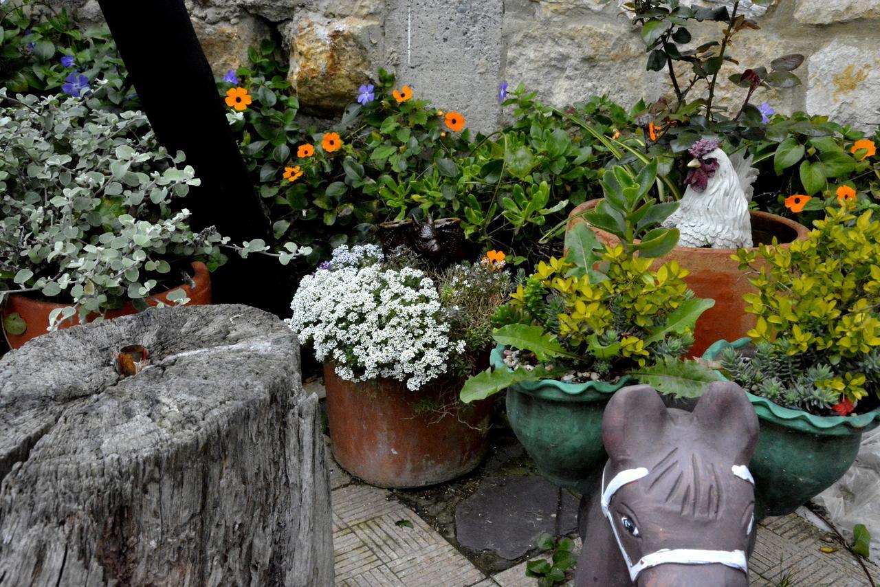El Pedregal Sopo Bed and Breakfast Εξωτερικό φωτογραφία