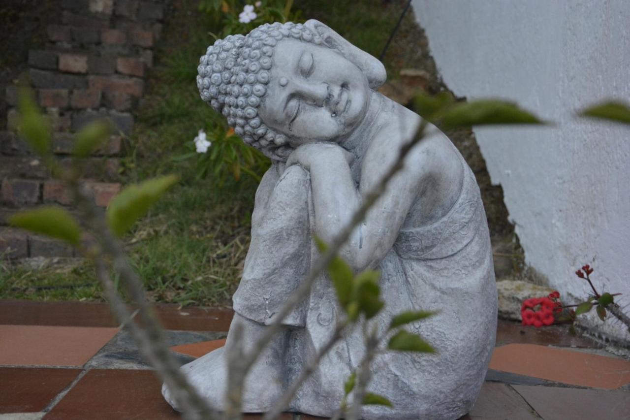 El Pedregal Sopo Bed and Breakfast Εξωτερικό φωτογραφία